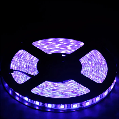 10MM SMD5050 RGB LED Strip Light - DC12V | 60 / 120 LEDs/M | 10mm PCB | IP00 / IP65 / IP67 | 5/50M | for Mirror, Kitchen Cabinet, Bedroom