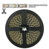 DC 12V Dimmable SMD3528-300 Flexible LED Strips 60 LEDs Per Meter 8mm Width 300lm Per Meter - LEDStrips8