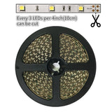 DC 12V Dimmable SMD5050-150 Flexible LED Strips 30 LEDs Per Meter 10mm Width 450lm Per Meter - LEDStrips8