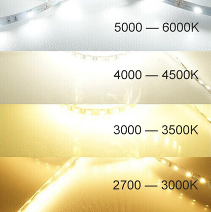 DC 12V Dimmable SMD5050-150 Flexible LED Strips 30 LEDs Per Meter 10mm Width 450lm Per Meter - LEDStrips8