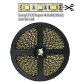 DC 12V Dimmable SMD5050-300 Flexible LED Strips 60 LEDs Per Meter 10mm Width 900lm Per Meter - LEDStrips8