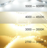 DC 12V Dimmable SMD5050-300 Flexible LED Strips 60 LEDs Per Meter 10mm Width 900lm Per Meter - LEDStrips8