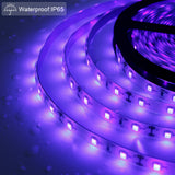 24W UV Black Light LED Strip, Ultraviolet Waterproof IP65 16.4FT/5M 3528 300LEDs 395nm-405nm Blacklight DJ Bar Club Party Decor Night Fishing with 12V 2A Power Supply