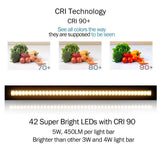 Ultra Thin LED Under Cabinet/Counter Kitchen Lighting Plug-in, Dimmable 2 Coin Thickness LED Light with 42 LEDs, Easy Installation Warm White 12V/2A 5W/450LM CRI90, 3 Pack, All in One Kit - LEDStrips8