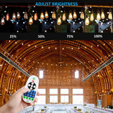 1500Watt AC110V/220V LED Dimmer for 110V/220V LED String Light, Wireless Remote Control Dimmer with 3 Prong Outlet, Timer Switch - LEDStrips8