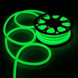 AC 110V / 220V IP65 High Voltage Dimmable Neon Strip Light with the power plug - LEDStrips8